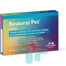 Reuteral Pet Cane 30cps